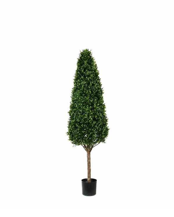 PP4036C-BOXWOOD TOWER