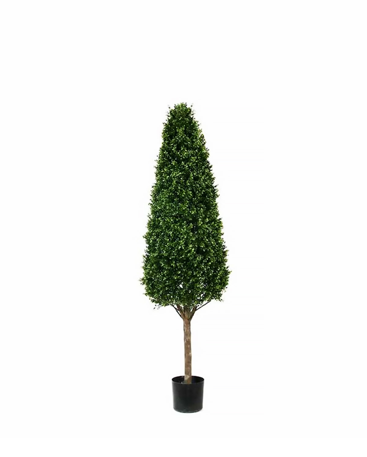 PP4036C-BOXWOOD TOWER