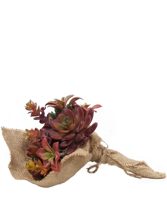 PTP7206-MIXED SUCCULENTS BOUQUET