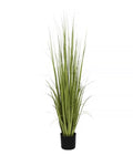 P1534-RANCH GRASS