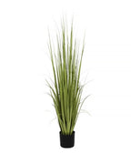 P1534-RANCH GRASS