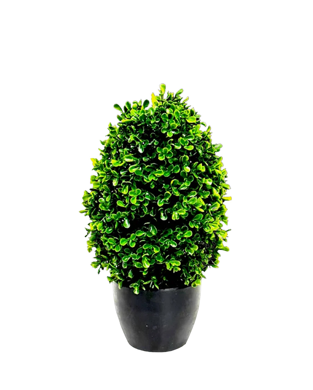 P3056-GYPSOPHILA  w/175 (UV/OUTDOOR)