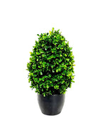 P3056-GYPSOPHILA  w/175 (UV/OUTDOOR)