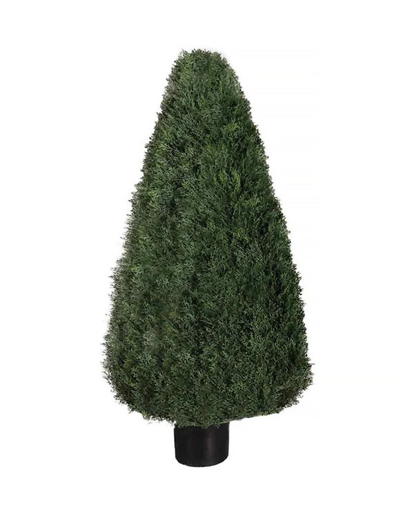 P3021-POND CYPRESS TOPIARY