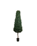 PP4031 -  PTD BOXWOOD TOWER TREE W/8304LVS