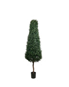 PP4031 -  PTD BOXWOOD TOWER TREE W/8304LVS