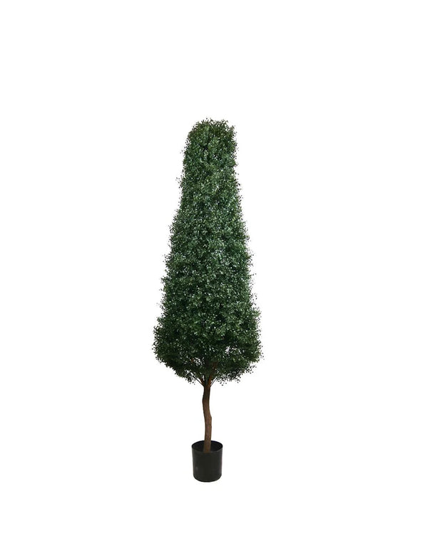 PP4031 -  PTD BOXWOOD TOWER TREE W/8304LVS