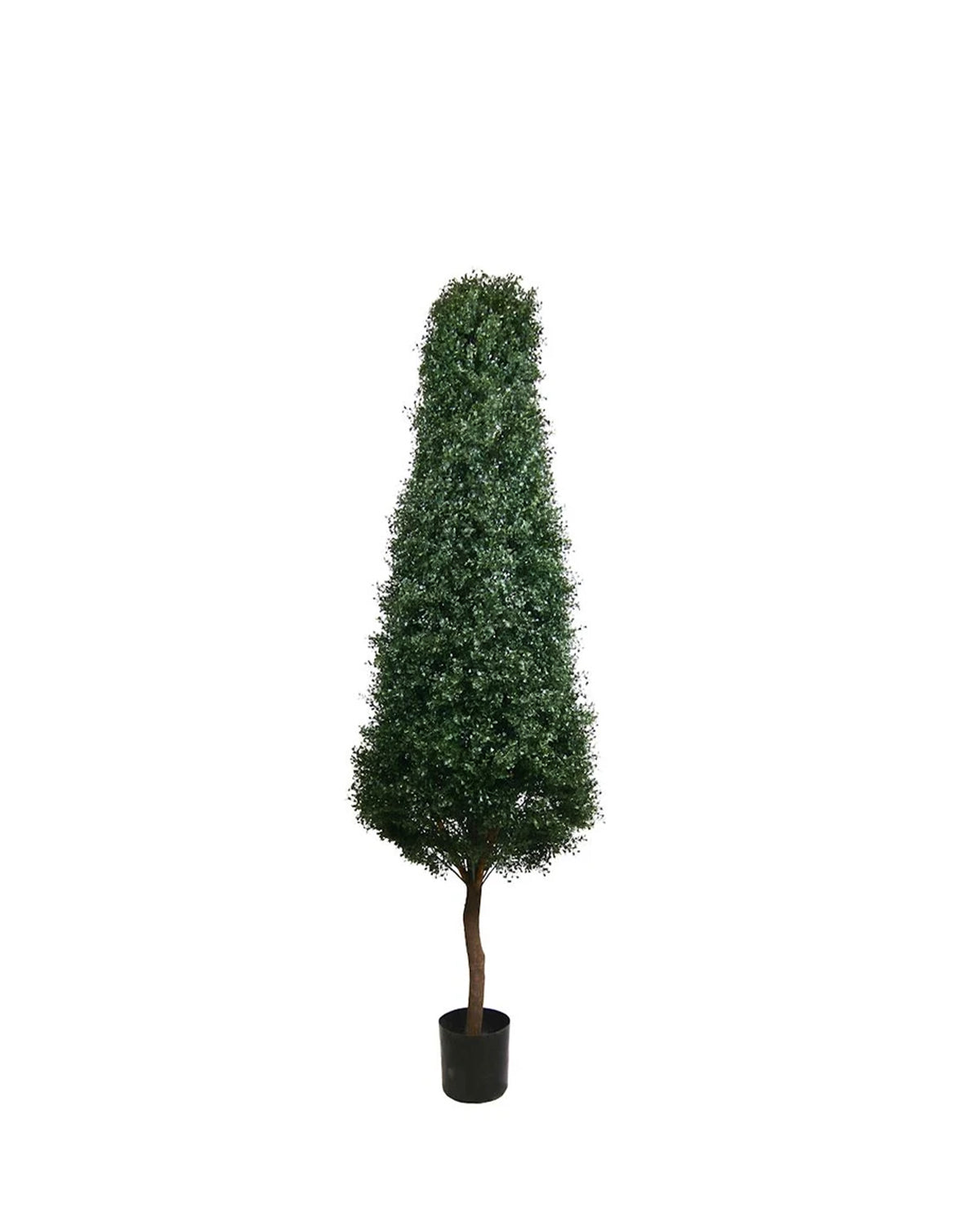 PP4031 -  PTD BOXWOOD TOWER TREE W/8304LVS