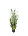 P1520-Sunny Flower Grass
