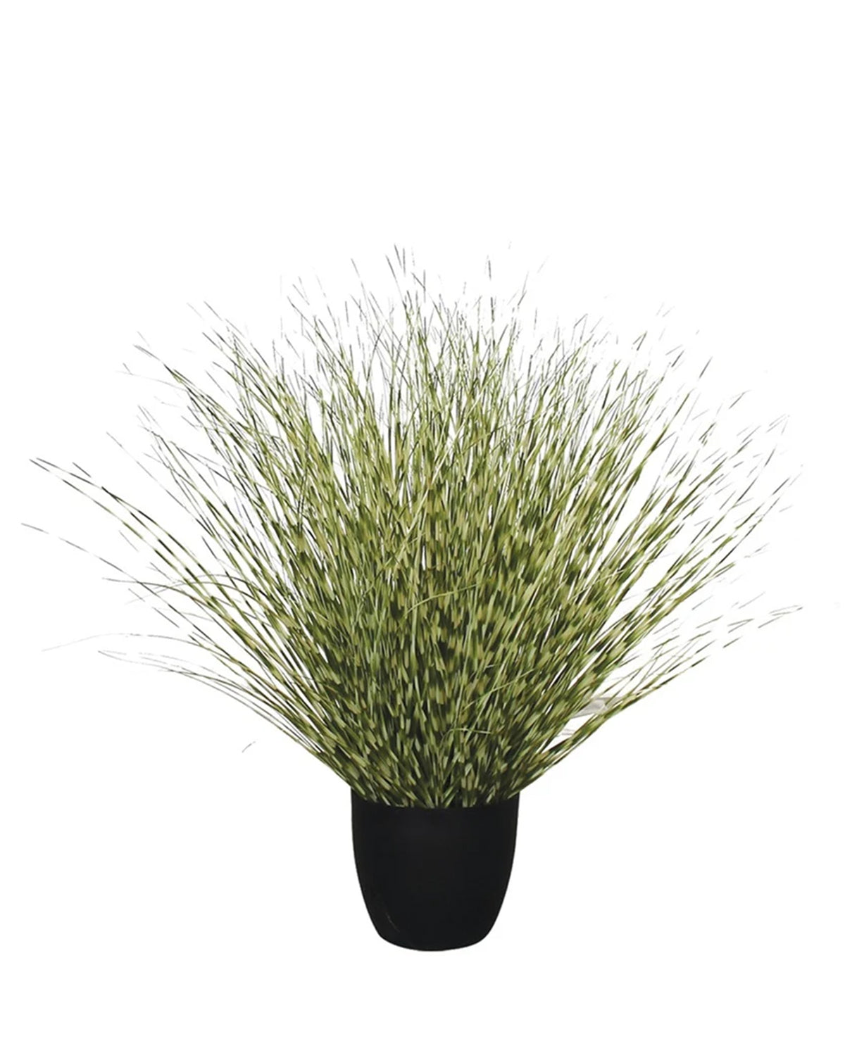 P1519R-ZEBRA RIVER GRASS