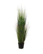 P1827-MOUNTAIN GRASS