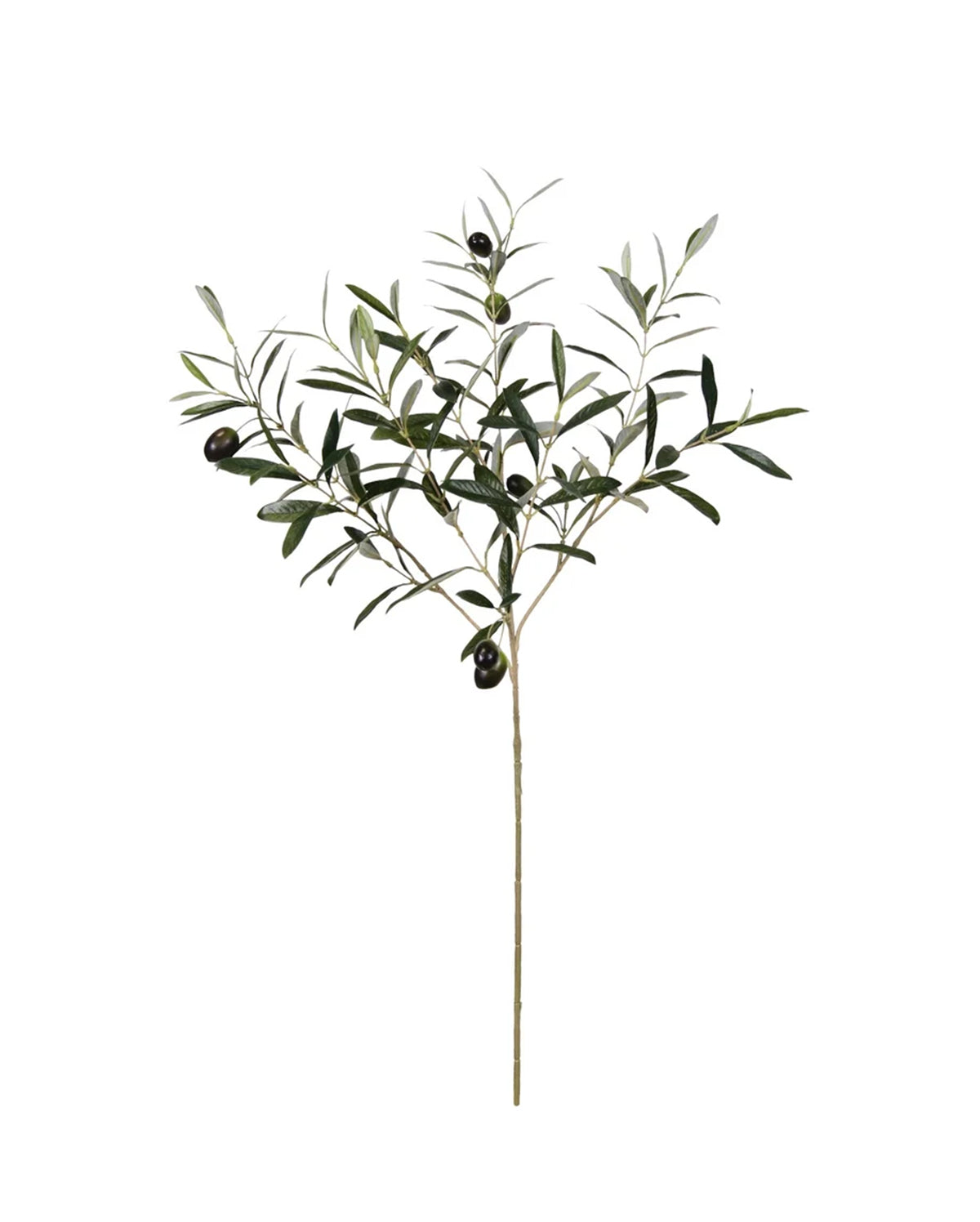P2845-ITALIAN OLIVE SPRAY