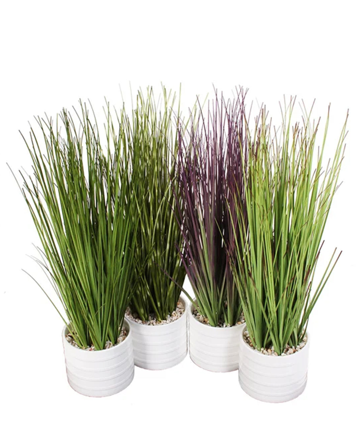 P1582A-ASSORTED GRASS IN WHITE POT