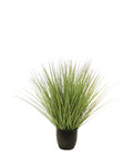 P1540R-RIVER GRASS