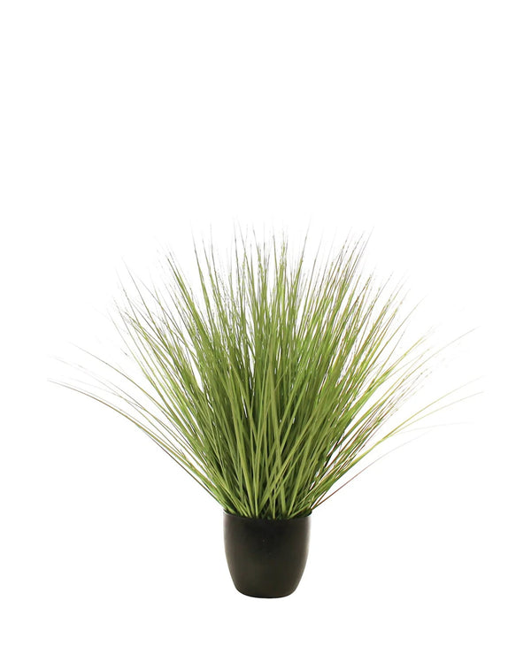 P1540R-RIVER GRASS