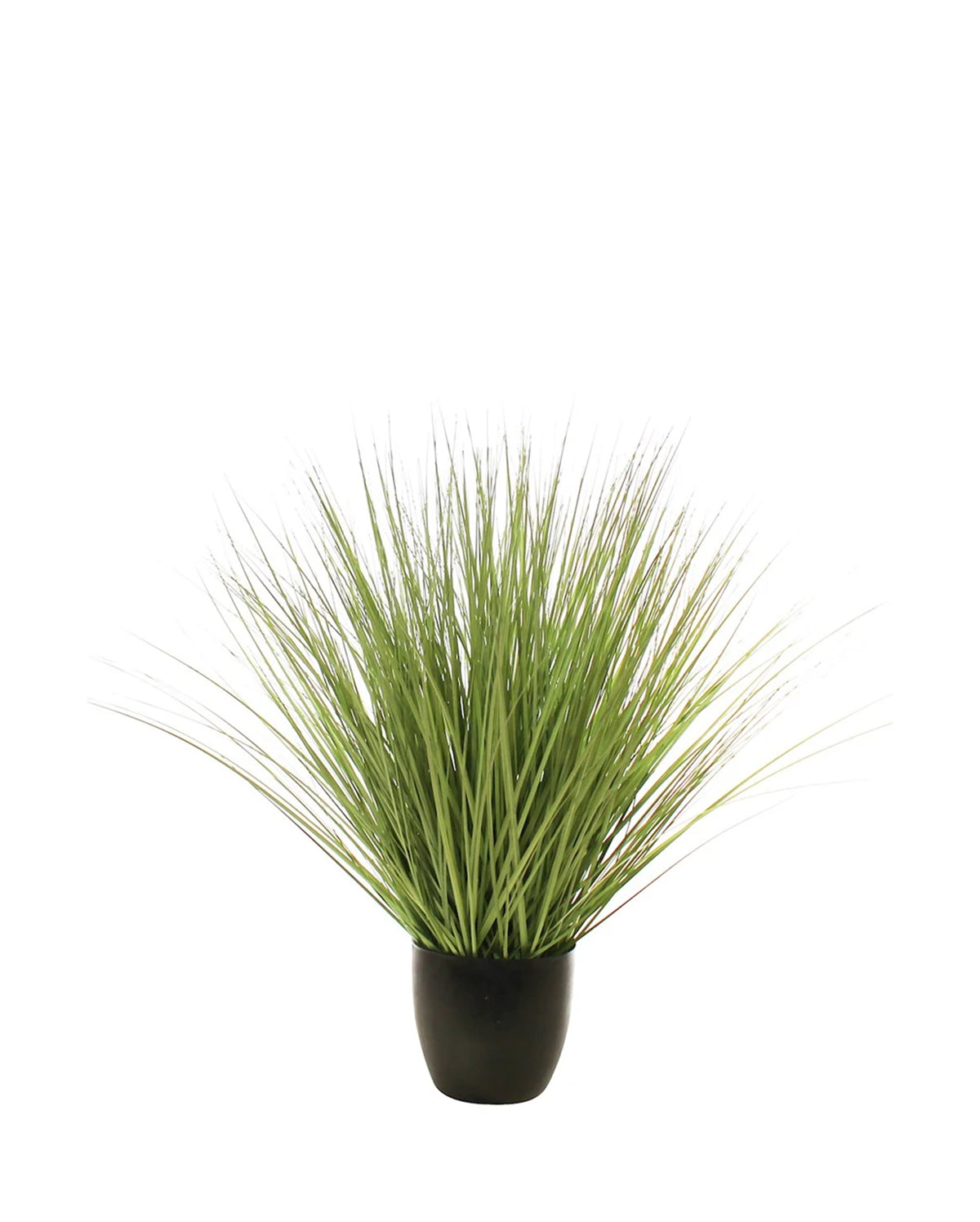 P1540R-RIVER GRASS