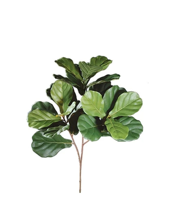 P2826- FIDDLE LEAF SPRAY