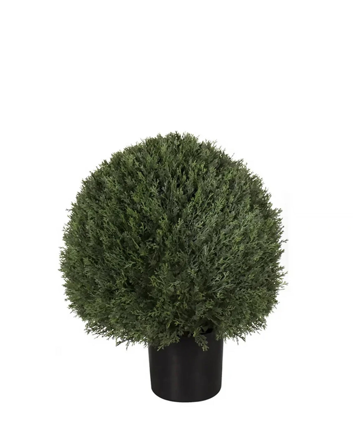 P3023-POND CYPRESS BALL TREE [UV/OUTDOOR]