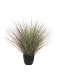 P1540R-RIVER GRASS