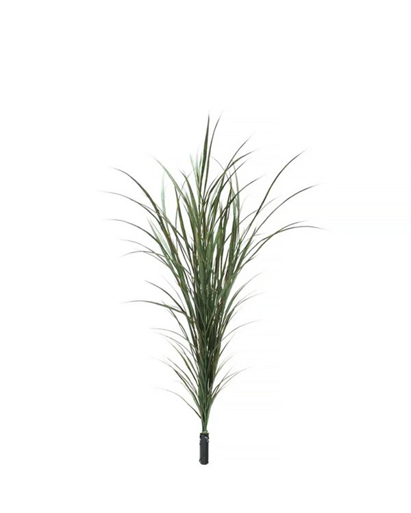 PP3040-SLIM GRASS BUSH W/RED EDGE