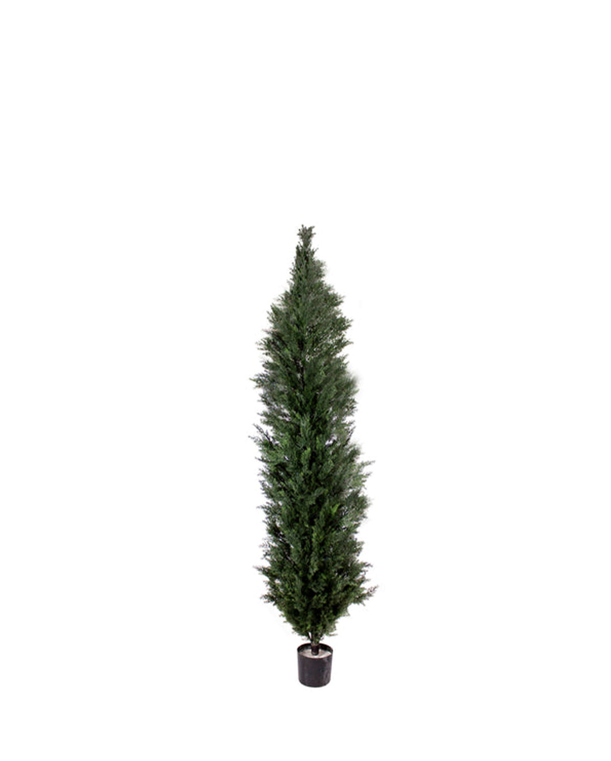 P3022-MINI CEDAR PINE TREE