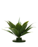 P2835-GREEN AGAVE