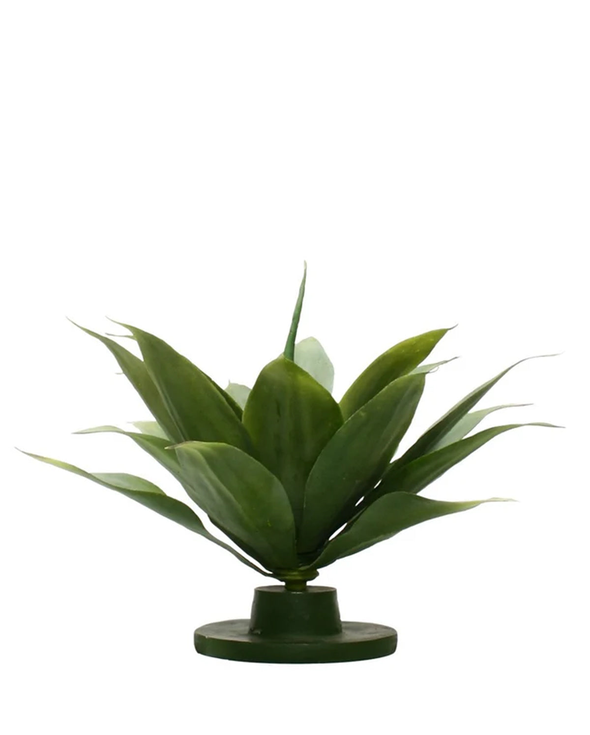 P2835-GREEN AGAVE