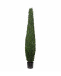 P3025-CYPRESS TREE TOWER
