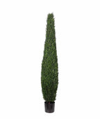 P3025-CYPRESS TREE TOWER