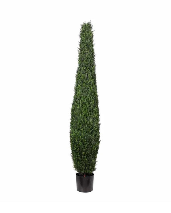 P3025-CYPRESS TREE TOWER
