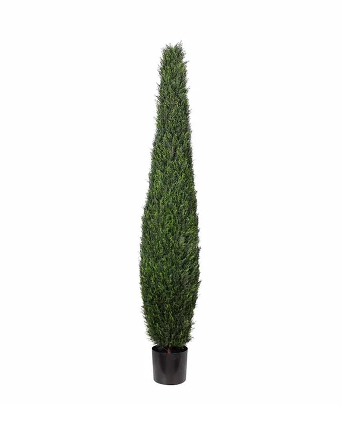 P3025-CYPRESS TREE TOWER