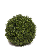 PP4036SB-BOXWOOD BALL
