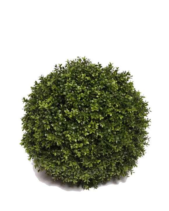 PP4036SB-BOXWOOD BALL