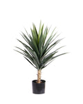 P1634-BLUE AGAVE