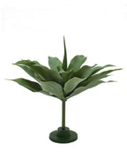 P2836-GIANT GREEN AGAVE PLANT