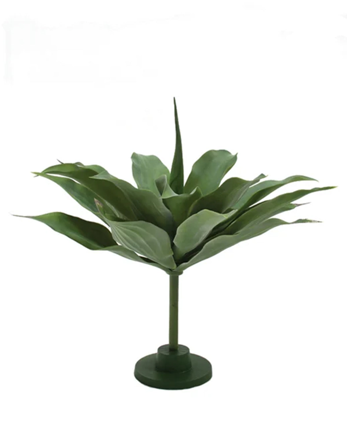 P2836-GIANT GREEN AGAVE PLANT