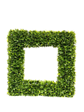 A3031-TEA LEAF SQUARE WREATH