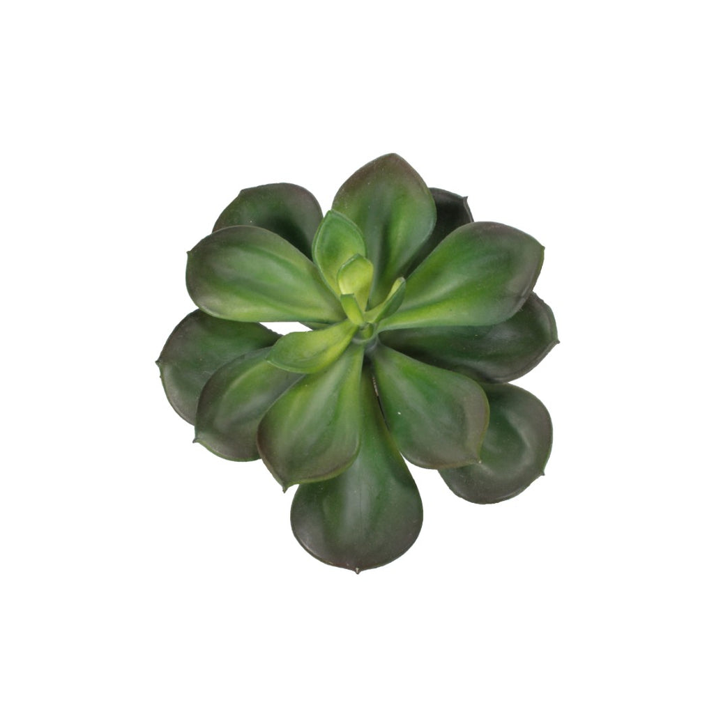 A7105-MIXED SUCCULENTS SET