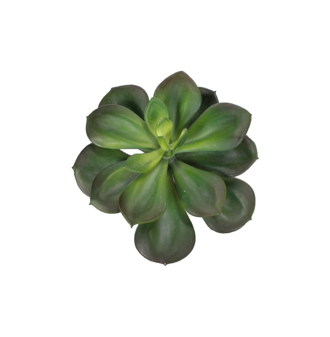 A7105-MIXED SUCCULENTS SET