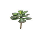 A7105-MIXED SUCCULENTS SET