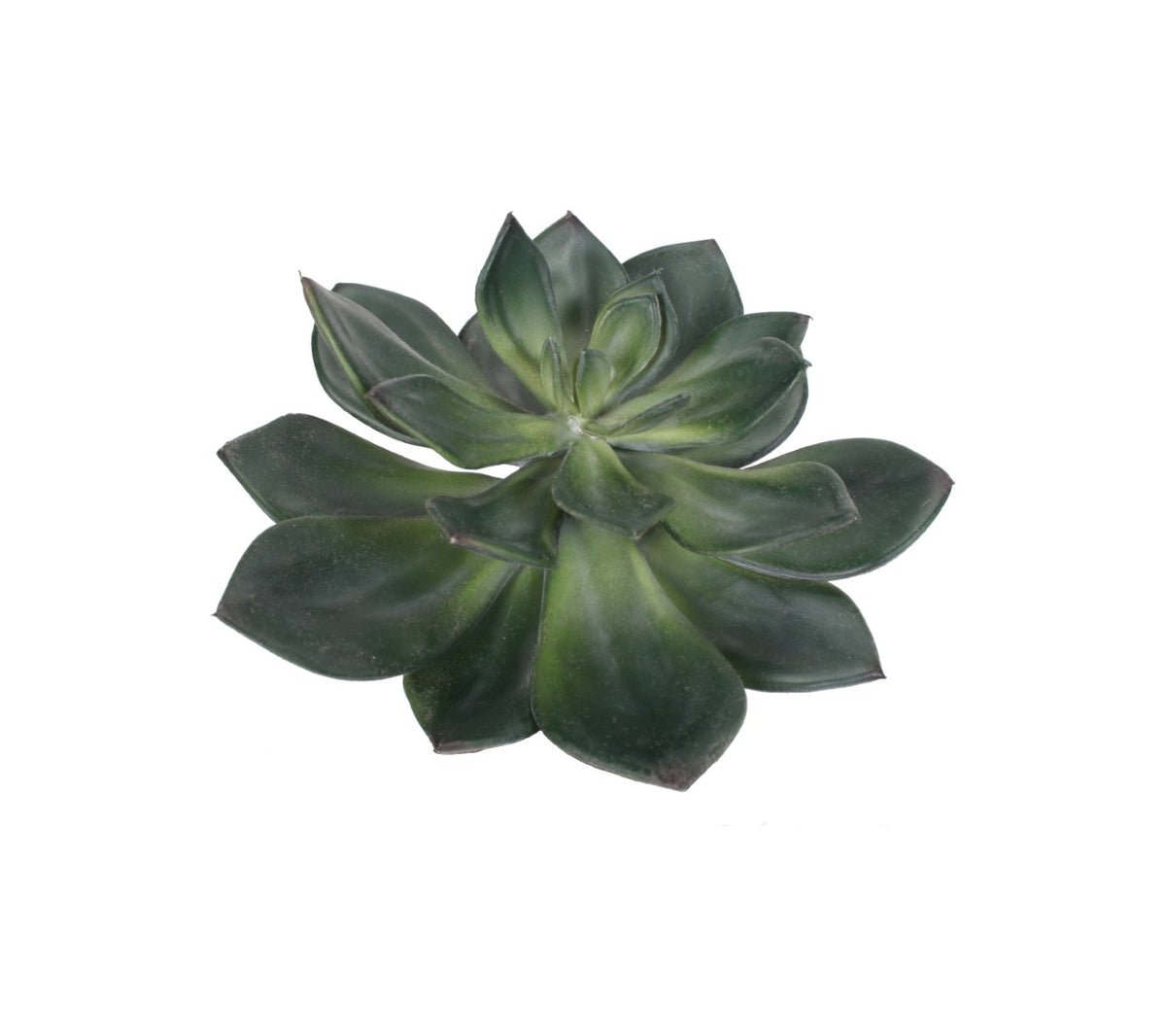 A7105-MIXED SUCCULENTS SET