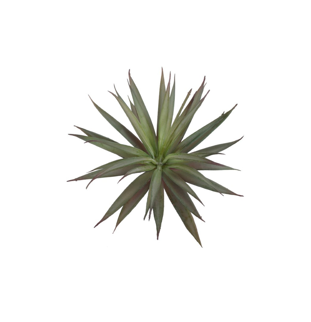 A7105-MIXED SUCCULENTS SET
