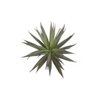 A7105-MIXED SUCCULENTS SET