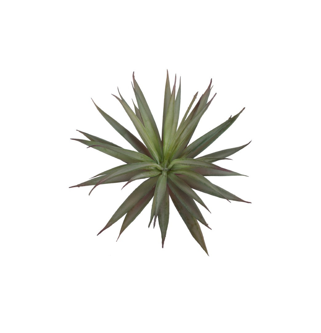 A7105-MIXED SUCCULENTS SET