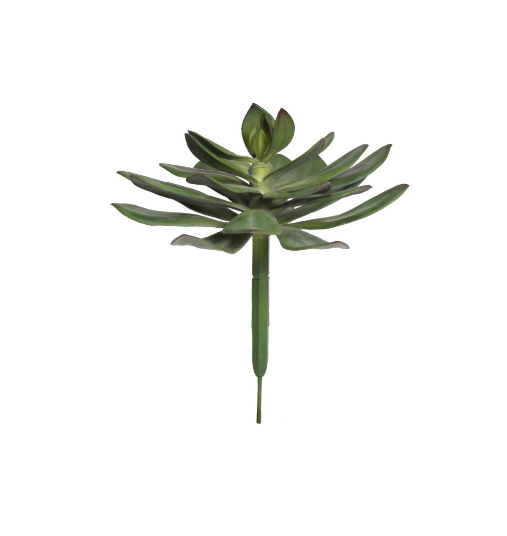 A7131 - SINGLE STEM SUCCULENT