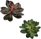 A7131 - SINGLE STEM SUCCULENT