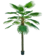 AT1521-10   10' FAN PALM