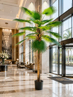 AT1521-10   10' FAN PALM