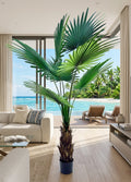 AT1521-6  6' FAN PALM