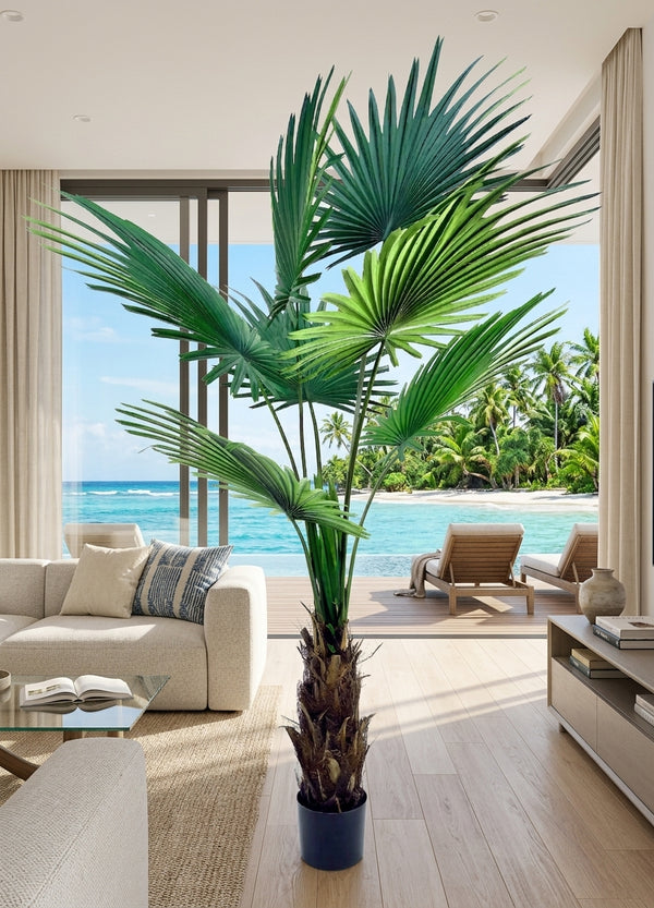 AT1521-6  6' FAN PALM